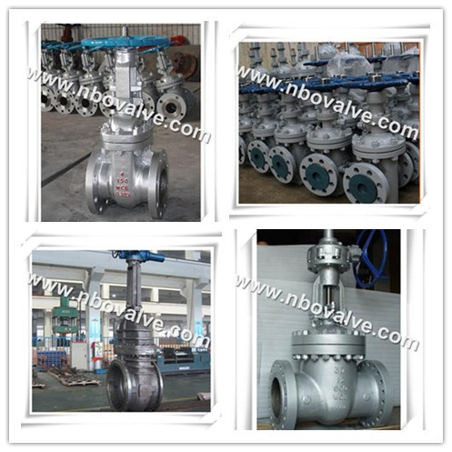 Stainless Steel F304ss Gate Valve (3