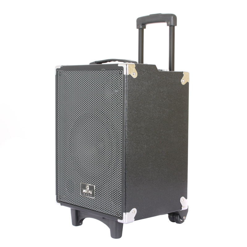 Professional PA Speaker with SD and USB (Two Wireless Handheld Mics)