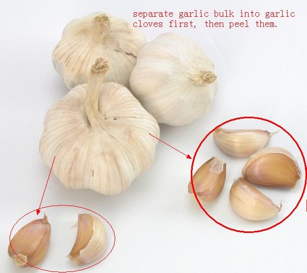 Ce Approved Garlic Clove Separator, Garlic Bulbs Extruding Machine, Garlic Cloves Squeeze Machine