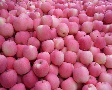 Qinguan Apple 2017 Fresh Crop