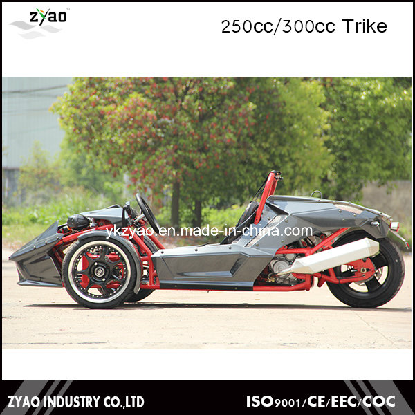 EEC 250cc Reverse Trike