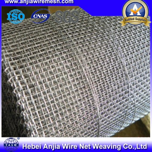 Galvanized Woven Square Iron Mesh for Filter Net