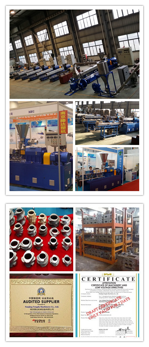 Tsh-40 Ce&ISO Certification Pet Double-Screw Co-Rotating Screw Extruder