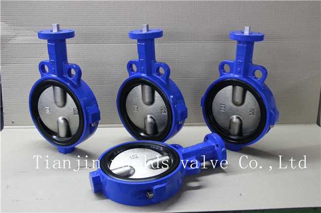 Split Body Wafer Type Butterfly Valve with Replaceable Liner