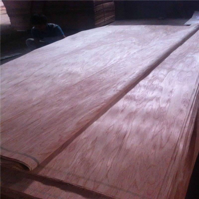 Rotary Cut 4'x8' Size Bintangor Veneer From Linyi