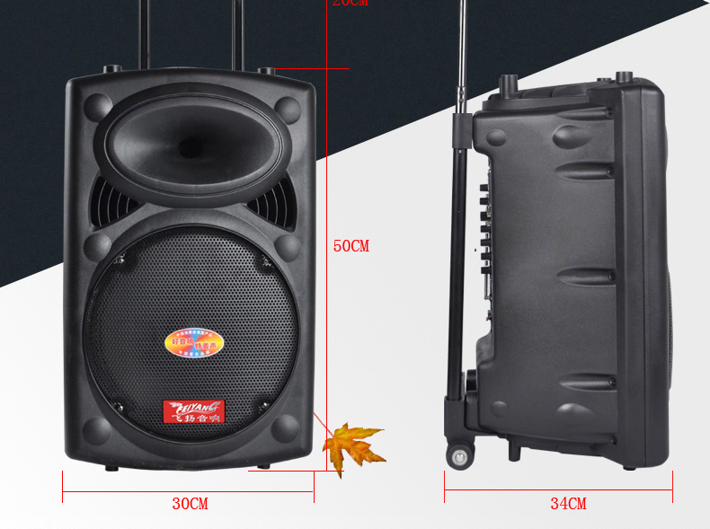 PRO DJ Audio 12-Inch Battery Powered Speaker with 2 Wireless Microphones 6814D