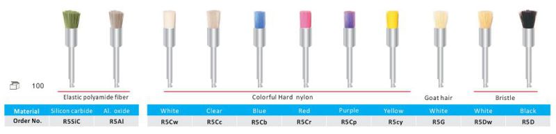 Dental Prophy Brush of Ca/Ra