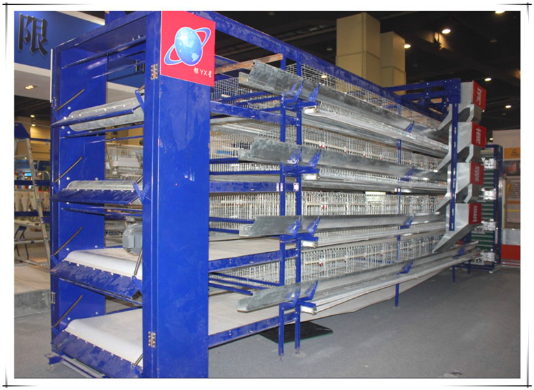 H Type Automatic Battery Cage for Sale