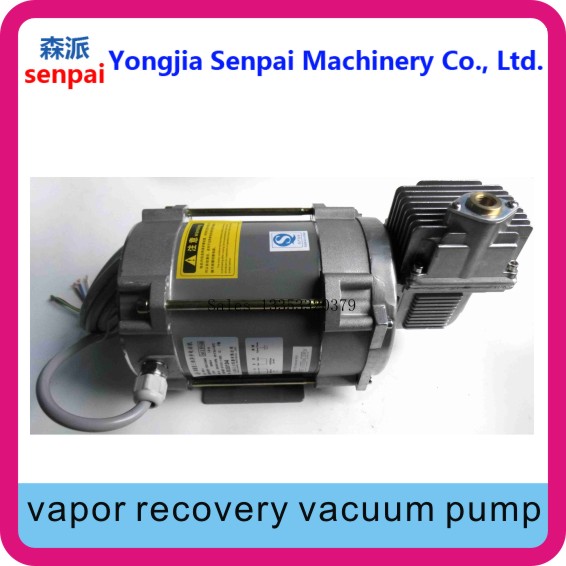 Dull Double-Heads 220V/380V Vapor Recovery Pump Vacuum Pump