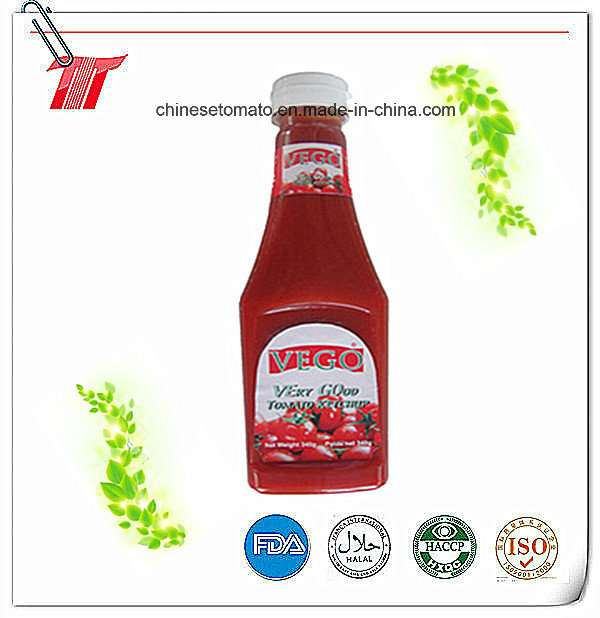 340g Tomato Ketchup with Plastic Bottle Paching