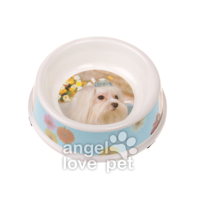 Pet Product Cat Bowl, Pet Supply