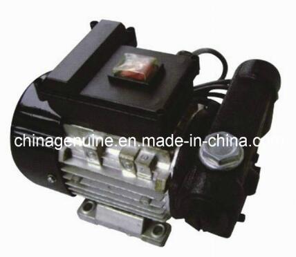 Electric Transfer Pump