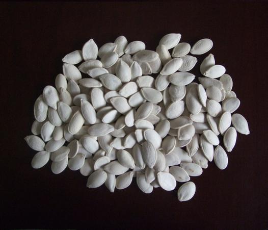 New Crop Snow White Pumpkin Seeds