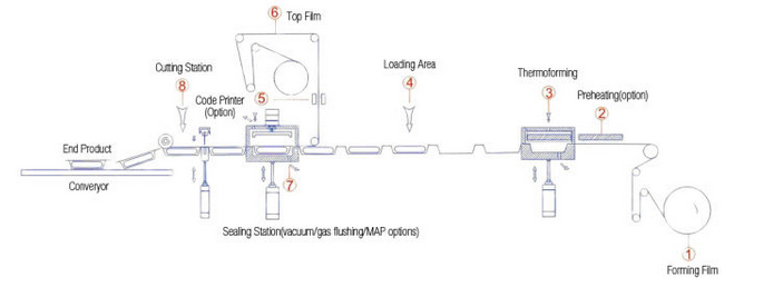 Dates Thermoforming Vacuum Package Machine