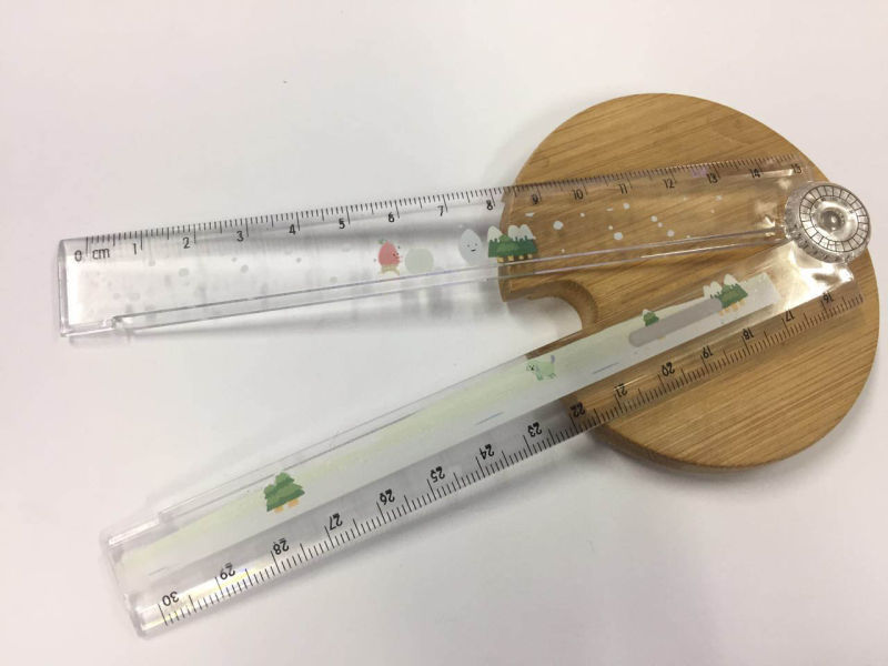 Plastic Flexible Ruler for School and Office Stationery