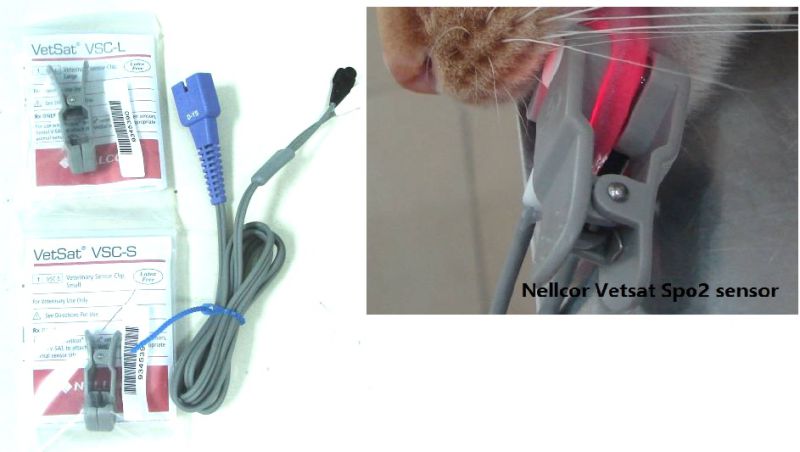 Transport Animal Vet ECG EKG NIBP Monitor Veterinary Monitor with FDA Veterinary