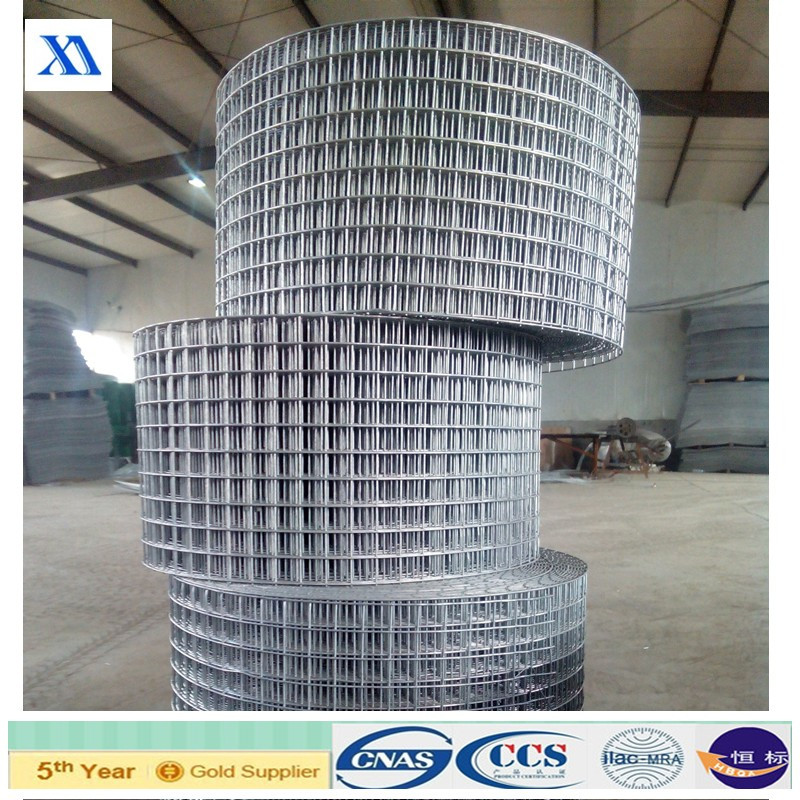 Welded Wire Mesh Aviary Mesh (XA-WWM57)