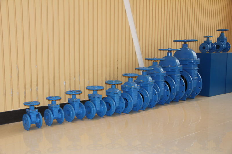 Resilient Seated Gate Valve, En1074 F4