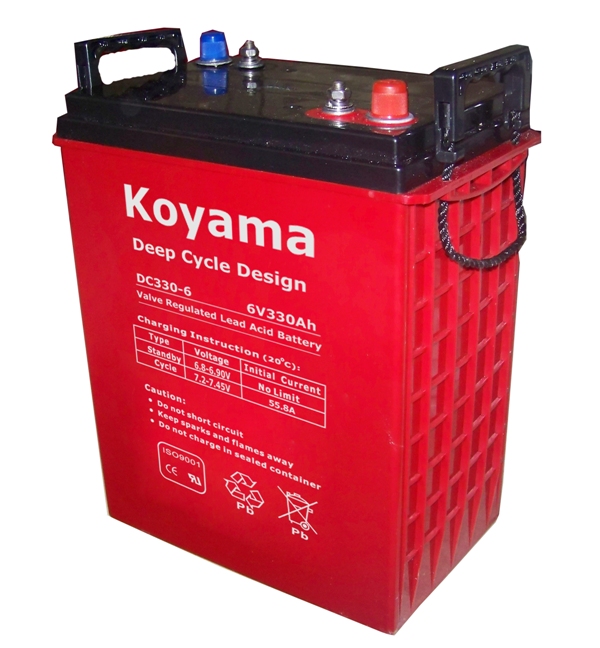 6V200ah-Deep Cycle Gel Battery for Golf/Utility/Neighborhood Electric Vehicle (NEV) (DCG200-6)