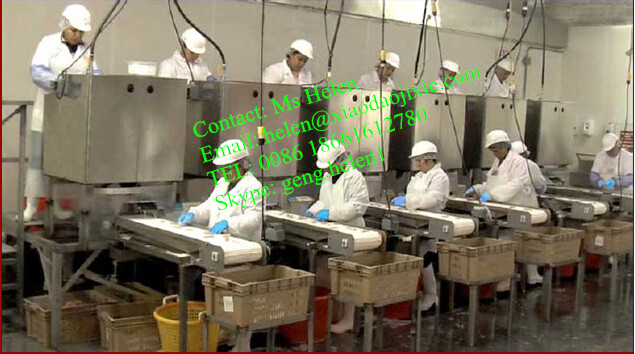 New Style Shrimp Peeling Machine for Hotel Restaurant