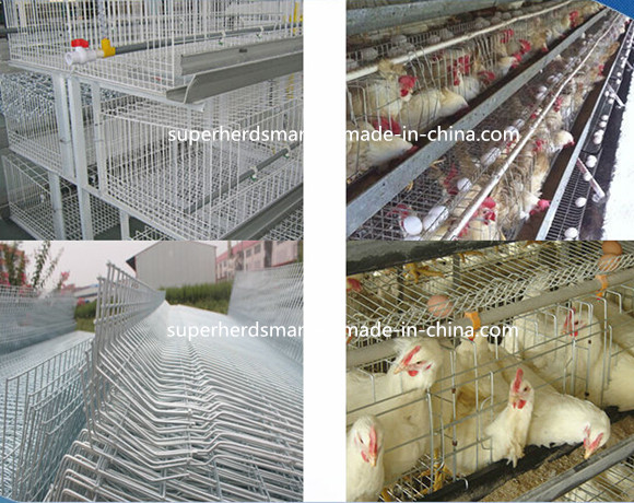 2015 Hot Sale Poultry Equipment Battery Chicken Cage