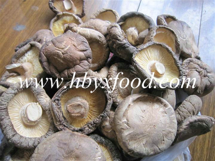 Great Organic Food and Dileciouse Dried Smooth Shiitake Mushroom