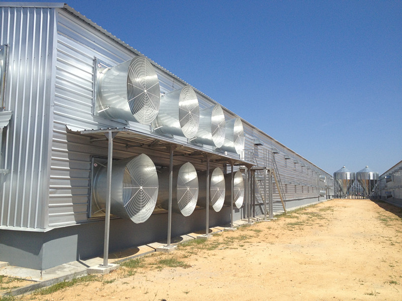 Double-Deck Closed Prefabricated Poultry Chicken House (Hygienic and Solid) (KXD-PCH12)