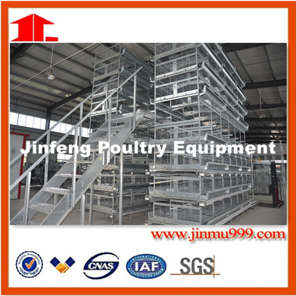 H Type Automatic Chicken Cage for Layer