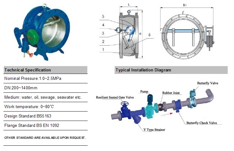 Title Disc Butterfly Type Check Valve