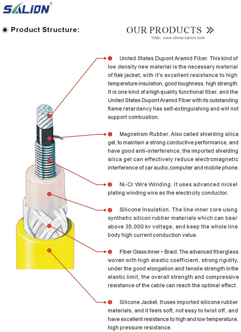 Spark Plug Wire/Ignition Cable for Ssangyohg (ZEF988)