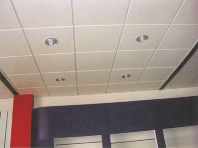 Aluminium Ceiling/Tile