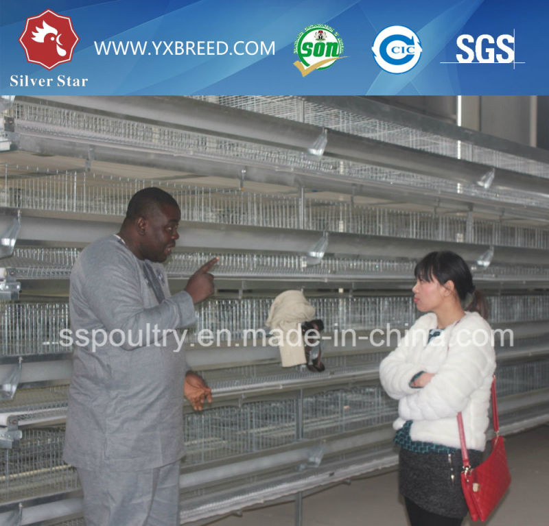 Battery Cage to The Kenya Farm