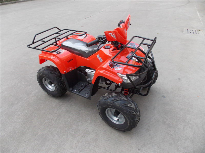 New Cheap 110cc ATV