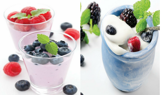 DIY Yogurt Maker