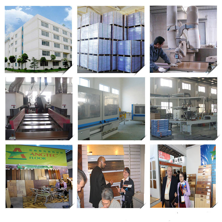 Germany Technology Laminated Flooring Factory Price