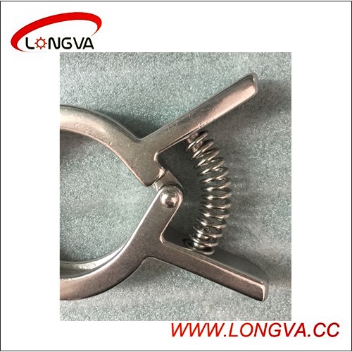 Wenzhou Manufacturer Ss304 Clamp with Spring