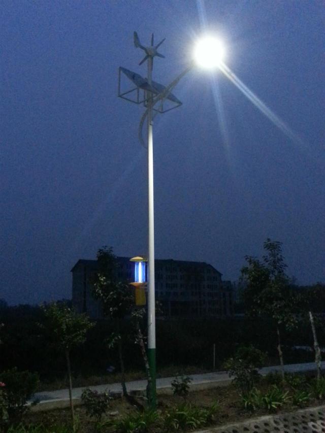 Prices of 7m 56W Rising Sun Soalr Street Light Controller