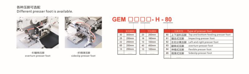 Electronic Pattern Sewing Machine for Garment Factory Gem3020-H-85