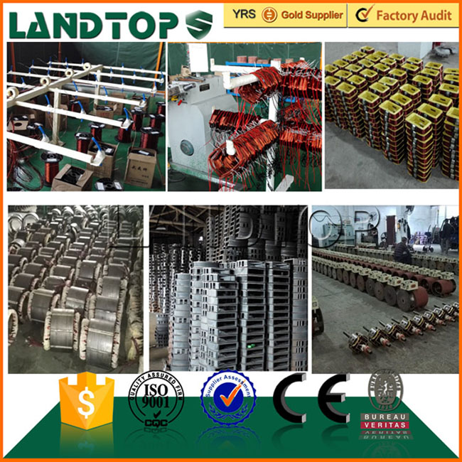 LANDTOP International Standard single phase generator