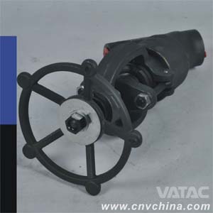 Cast & Forged Y Type Globe Valve (J56)