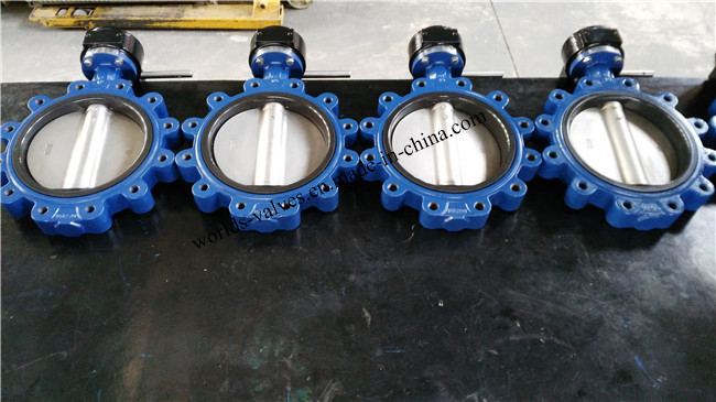 Worm Gear Lugged Butterfly Valve