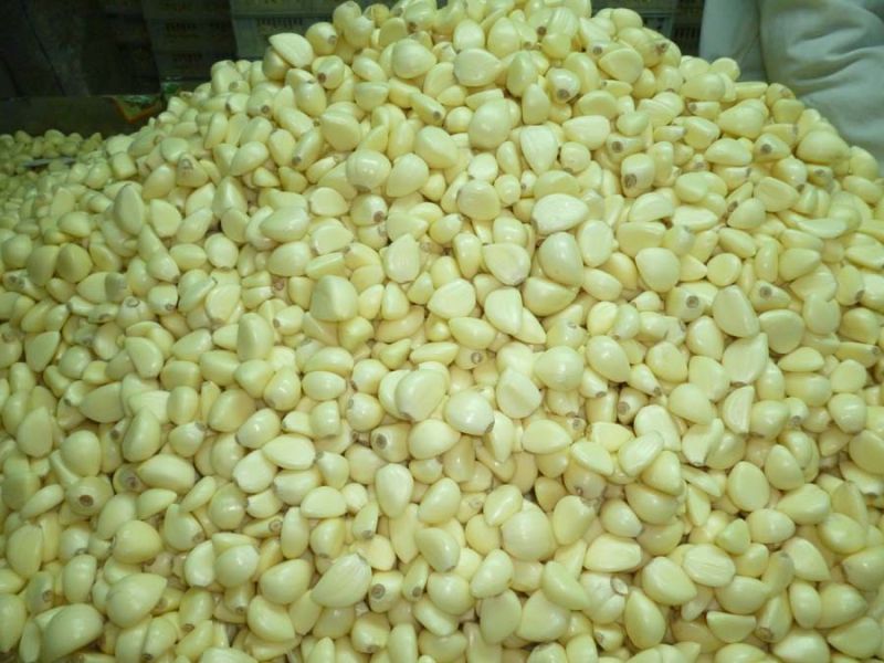 Chinese New Crop Fresh Peeled Garlic with High Quality