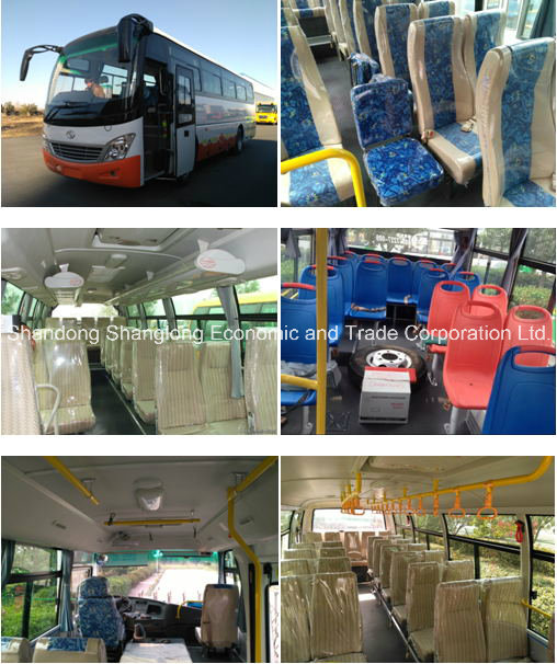 China 7.5m School Bus Medium Passenger Car with 31-35 Seats