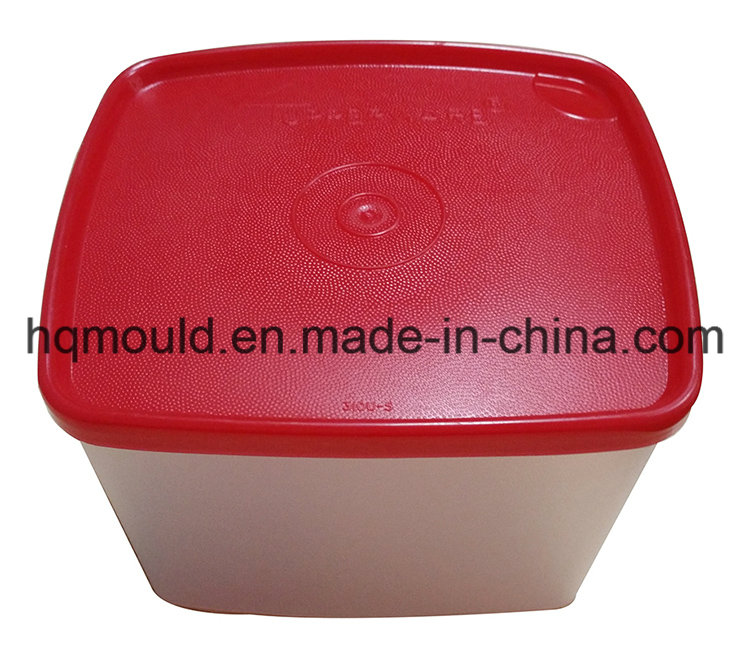 Plastic Injection Tool for Storage Container Commodity Mould