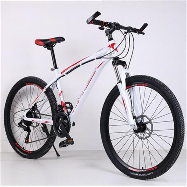 2017 New Mountain Bicycle for Adult Bike