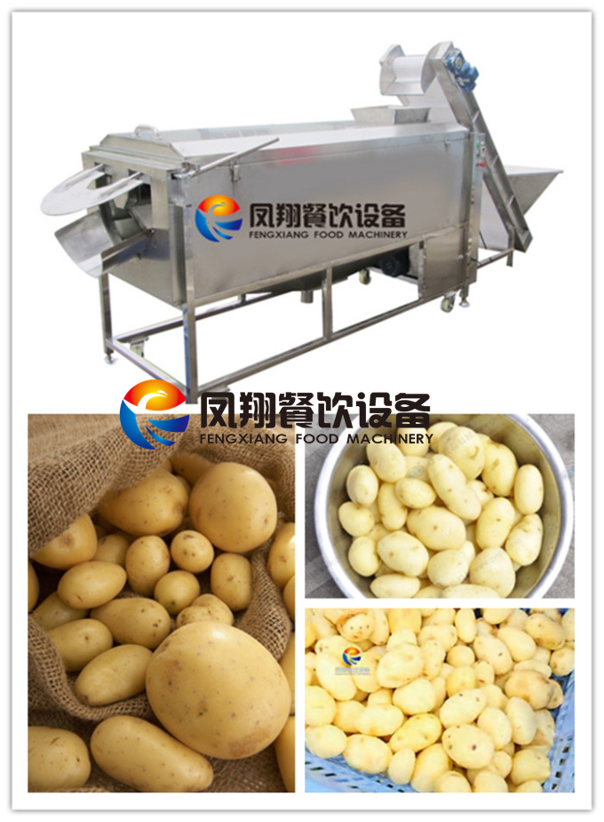 Screw Type Vegetable/Potato/Carrot/Taro/Melon/Yam Washing & Peeling Machine