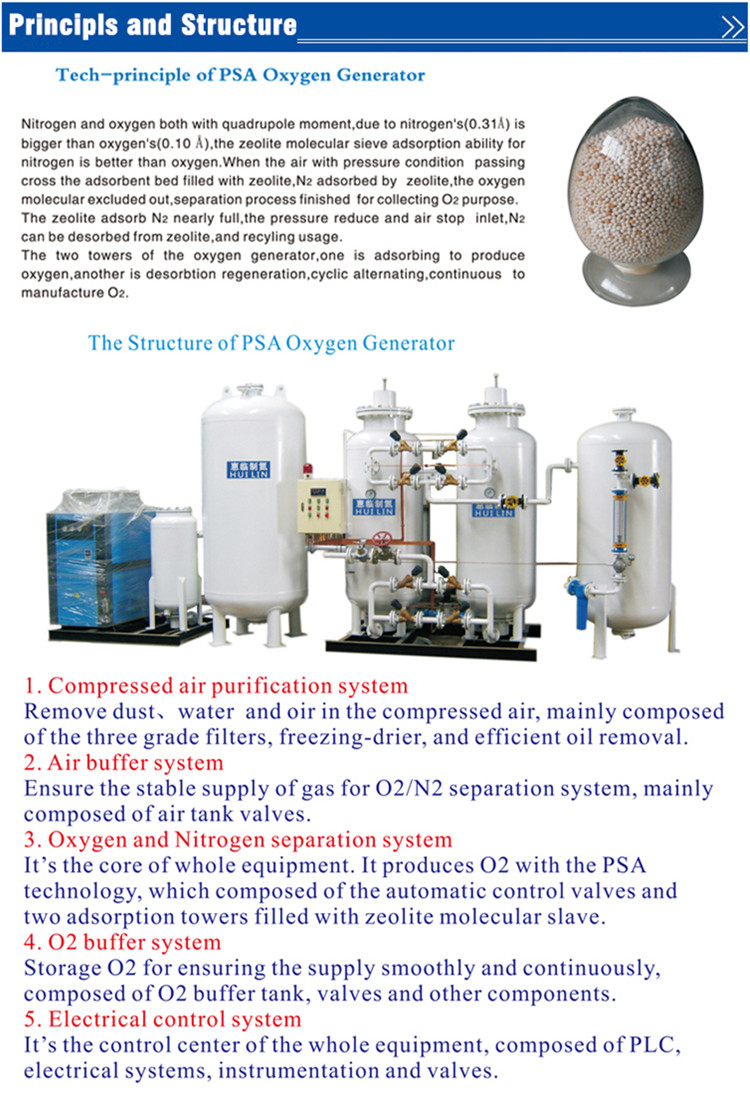 High Purity Psa Oxygen Generator for Sale