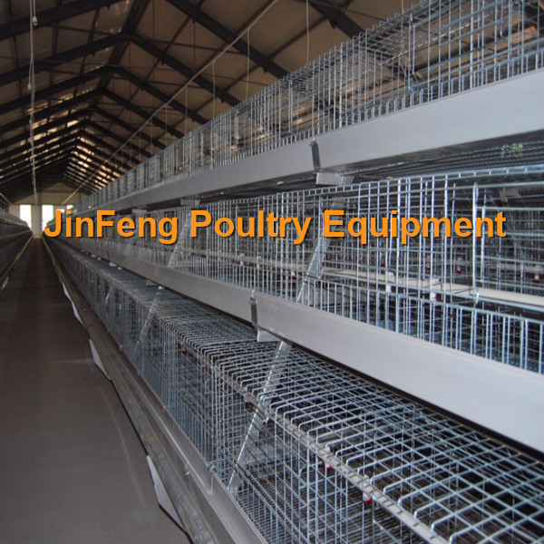 Layer Broiler Pullet Chicken Cage with Automatic Raising Equipment