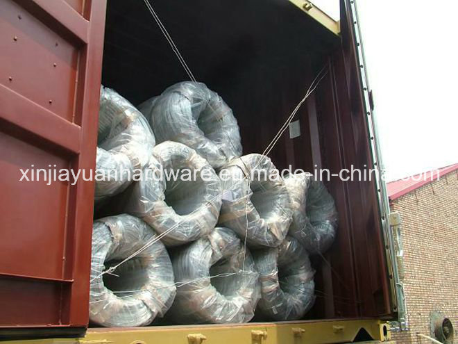 Hot DIP Galvanized Iron Wire