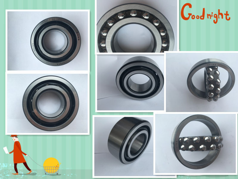 6211zz /P5, Rae35nppb, Nu208, 34421, 23088 W33, 534176, Ucfs320, Ucf204 Ball and Roller Rolling Hot Sales Promotion Bearings
